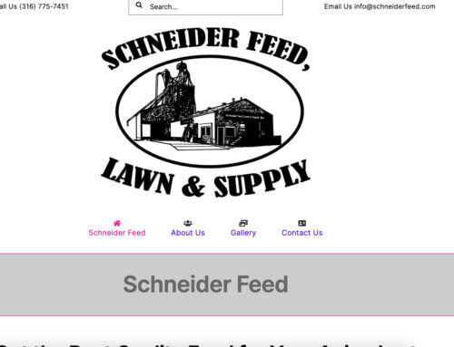 Schneider Feed Website